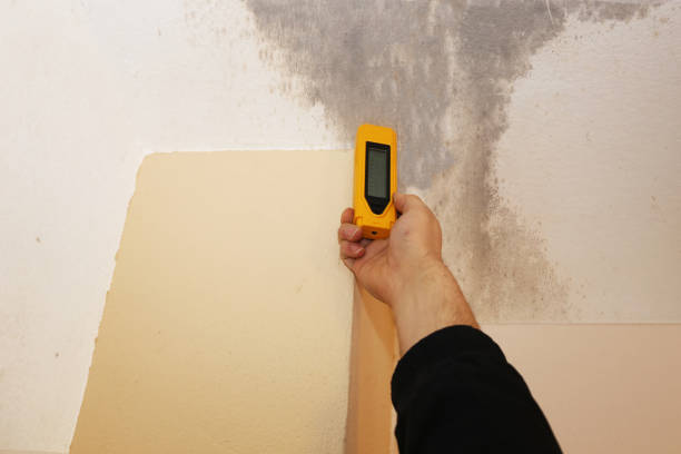 Best Air Quality Testing for Mold Spores  in Burleson, TX