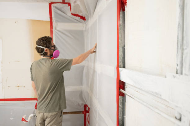 Best Attic Mold Removal  in Burleson, TX
