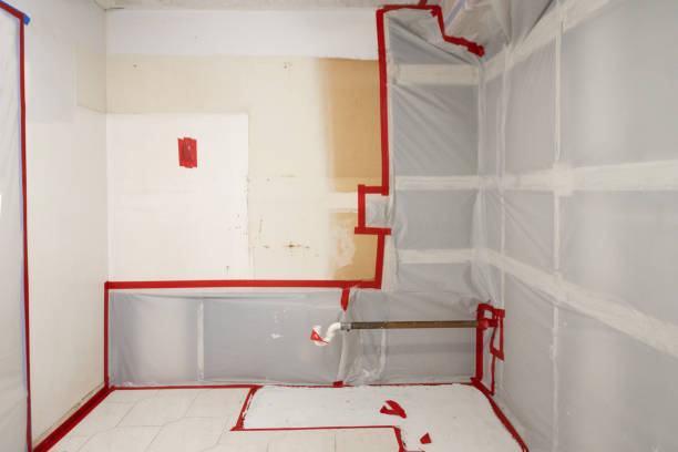 Best Black Mold Removal  in Burleson, TX
