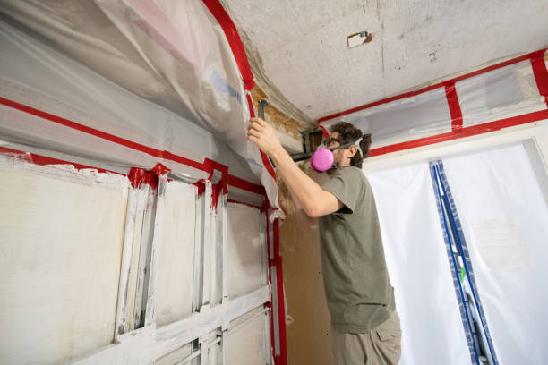 Best Mold Documentation for Insurance Claims  in Burleson, TX