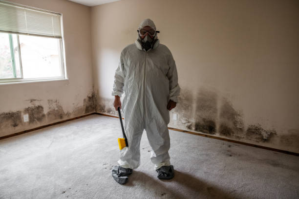 Best Emergency Mold Remediation  in Burleson, TX