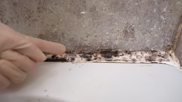 Best Flood Damage  in Burleson, TX